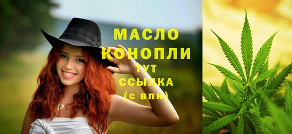 гашик Арсеньев
